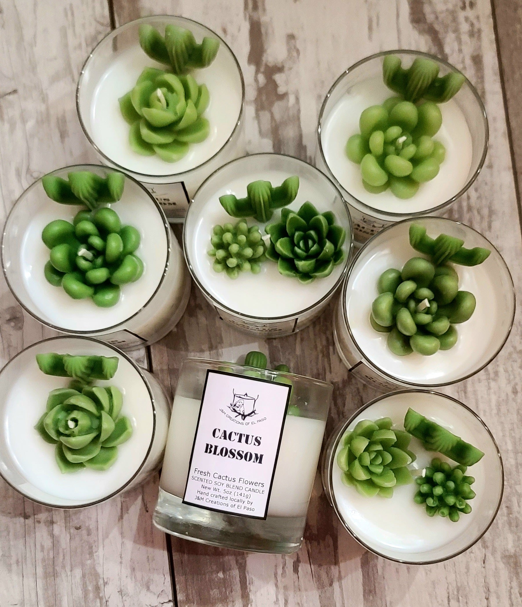 Cactus Blossom with succulent embed – J&M Creations of El Paso